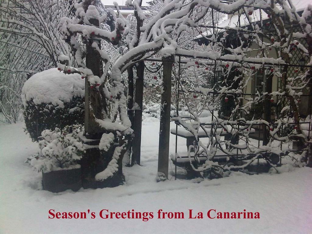 La Canarina Couette-café Côme